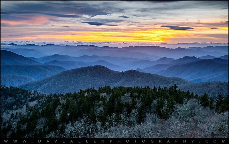 Blue Ridge Parkway spring scenery with blooming wildflowers and fresh green foliage