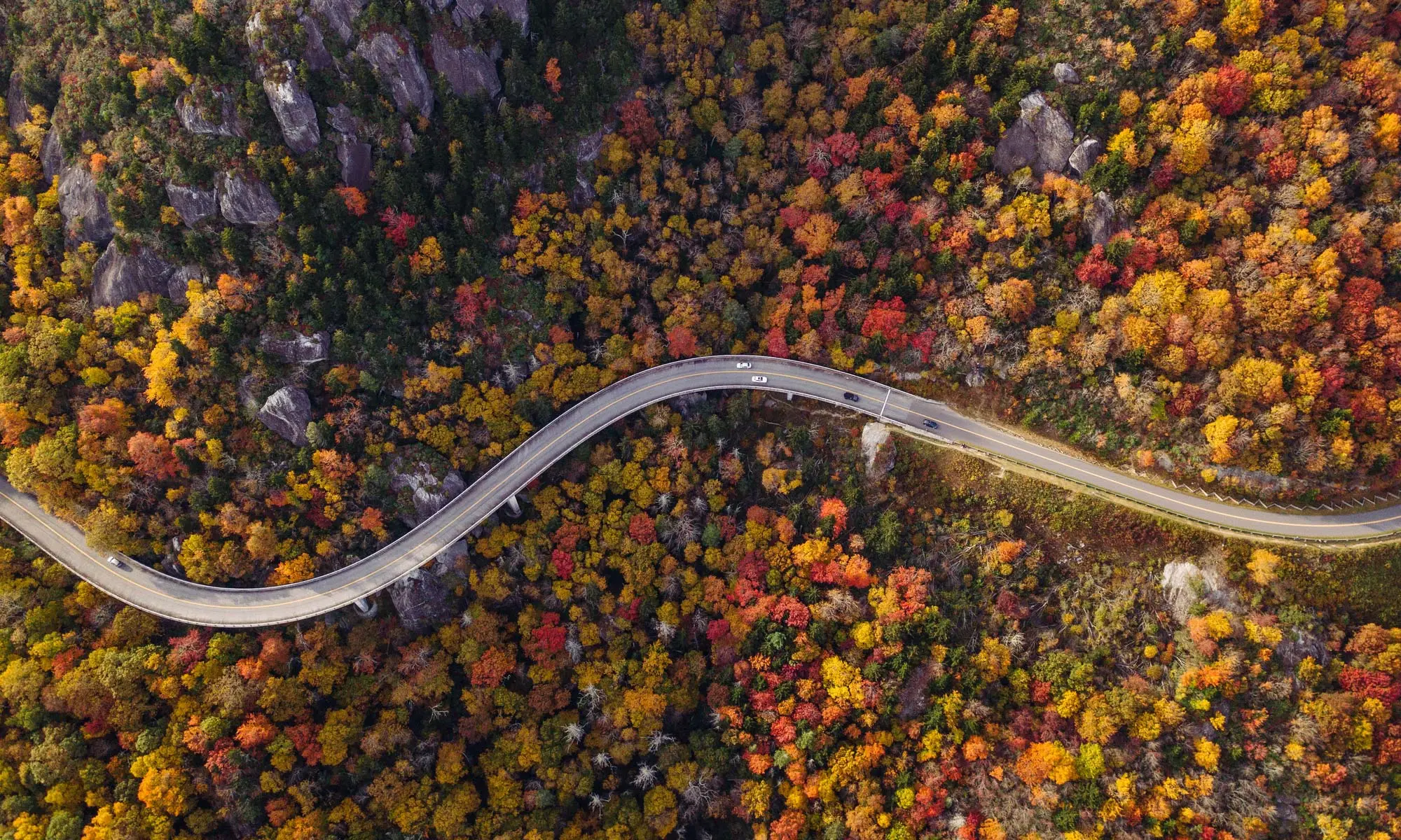Blue Ridge Parkway fall foliage with vibrant red, orange, and gold colors covering mountain slopes